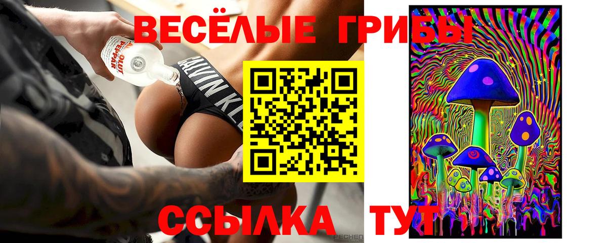 Псилоцибиновые грибы Cubensis Якутск